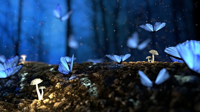 Fantasy forest